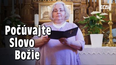 ECAV / PSBECAV Pasca falošnej istoty