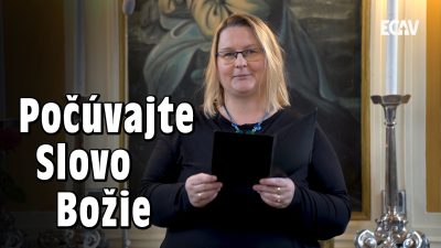 ECAV / PSBECAV Výbava