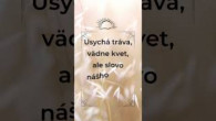 ECAV / NAVEKY