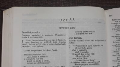 Kodet Vojtech / Bible, SZ (Ozeáš), Povolání proroka, Přelíčení proti cizoložnici, Boží smlouva