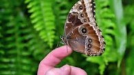 Kodet Vojtech / Nevíte, oč žádáte-Vojtěch Kodet
