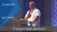 Apoštolská cirkev Košice / [20.08.2023]Igor Láslofi: O kúkoli medzi pšenicou