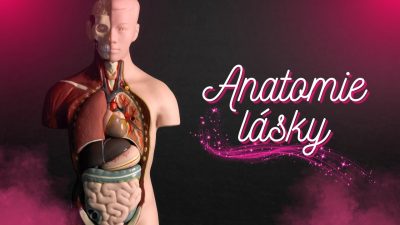 Sbor Bratrské jednoty baptistů v Aši / Anatomie lásky - Ne 16.02.2025