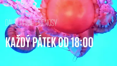 Jak se připravit na válku? - Ne 25.10.2026