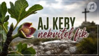 Sbor Bratrské jednoty baptistů v Aši / Aj keby nekvitol fík
