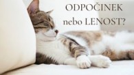 Sbor Bratrské jednoty baptistů v Aši / ODPOČINEK nebo LENOST? - Ne. 21.8.2022