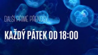 Sbor Bratrské jednoty baptistů v Aši / Uběhl rok 2024 rychle nebo pomalu? Ne 29.12.2024