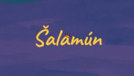 Apoštolská cirkev Bratislava / Kráľovské leto #2 - Šalamún / Miro Čorba