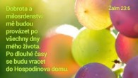 Oaza Tv - Praha / Díkůvzdání 2021 - Co od nás Bůh chce? / Thanksgiving 2021 - What Does God Want From Us? (2021-12-05)