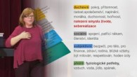 Oaza Tv - Praha / Kdo naplňuje tvé potřeby (2020-01-05)