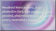 Oaza Tv - Praha / Moudrost pro pokorného / Wisdom For the Humble (2021-07-18)