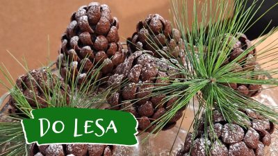TV LUX / TVORIVO | Do lesa