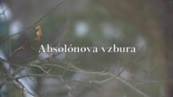 TV LUX / BIBLIA | Absolónova vzbura
