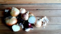 TV LUX / EDEN 19 | SPOMIENKY NA CESNAK A CIBUĽU