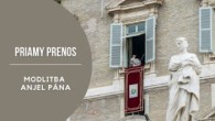 TV LUX / PRIAMY PRENOS MODLITBY ANJEL PÁNA S PÁPEŽOM FRANTIŠKOM – Streda 1. 11. 2023