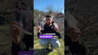 Godzone / Nemusíš to trhať!