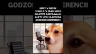 Godzone / Nevieme sa dočkať!