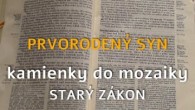 Komunita Blahoslavenstiev / 06 Prvorodený syn