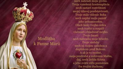 Slovensky dohovor za rodinu / 33. dňová príprava na zasvätenie sa podľa sv. Ľ. M. Grigniona - 23. deň