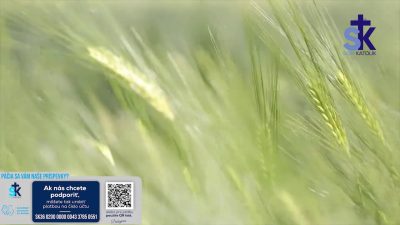 Slovensky dohovor za rodinu / Korunka Božieho milosrdenstva a Krížová cesta z Lagiewnikov