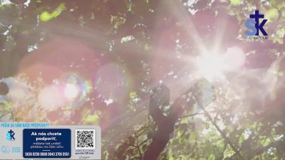 Slovensky dohovor za rodinu / Korunka Božieho milosrdenstva a Krížová cesta z Lagiewnikov