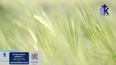 Slovensky dohovor za rodinu / Korunka Božieho milosrdenstva a Krížová cesta z Lagiewnikov