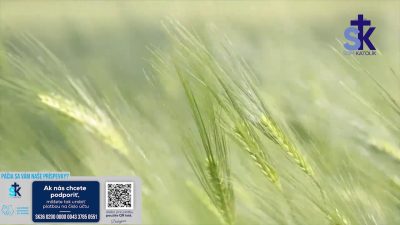 Slovensky dohovor za rodinu / Korunka Božieho milosrdenstva a Krížová cesta z Lagiewnikov