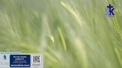 Slovensky dohovor za rodinu / Korunka Božieho milosrdenstva a Krížová cesta z Lagiewnikov