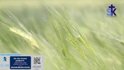 Slovensky dohovor za rodinu / Korunka Božieho milosrdenstva a Krížová cesta z Lagiewnikov