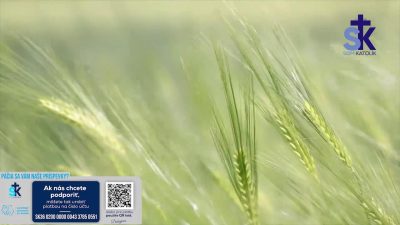 Slovensky dohovor za rodinu / Korunka Božieho milosrdenstva a Krížová cesta z Lagiewnikov