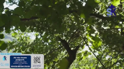 Korunka Božieho milosrdenstva a krížova cesta s Lagiernikow