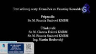 Slovensky dohovor za rodinu / Korunka Božieho milosrdenstva a krížova cesta s Lagiewnikov