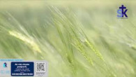 Slovensky dohovor za rodinu / Korunka Božieho milosrdenstva a Krížová cesta z Lagiewnikov